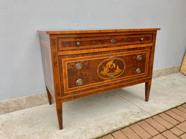 Louis XVI Walnut panelled chest of drawers with Bois de Rose and Boxwood inlays.