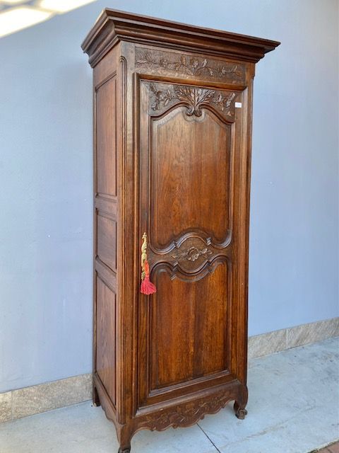 Armadio in Rovere Provenzale ad 1 Anta