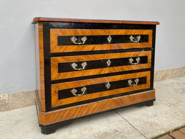 Particular Ebonised Chest of Drawers with Fishbone Flooring in Bois de Rose.