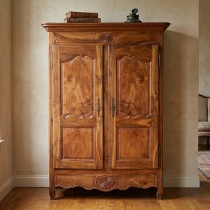 Armadio Provenzale dell'800 in Noce Biondo - Elegante e Restaurato