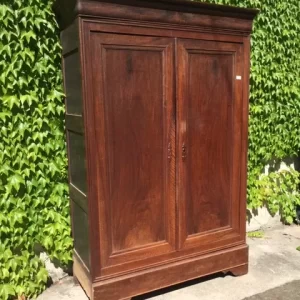 Armadio in Noce Carlo X - Epoca 1800, Restaurato
