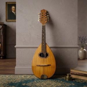 Mandolino Liuteria Meazzi - Anni '70 in buone condizioni